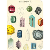 Cavallini Mineralogy Mini Notebook Set of 3
