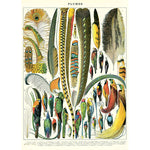 Cavallini Plumes Feathers Wrap - Poster