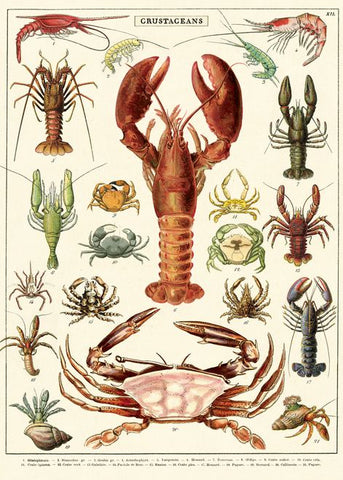 Cavallini Lobster Crusteans Wrap - Poster