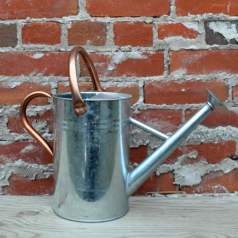 Classic Galvanized Watering Can 4.5 Litre