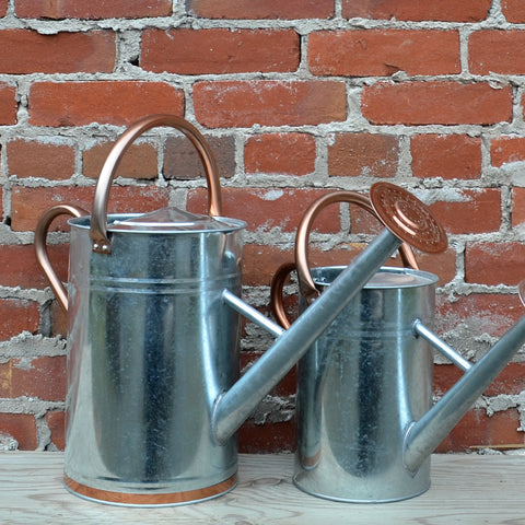 Classic Watering Can 9 Litre