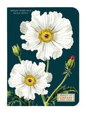 Cavallini Botany Mini Notebook Set of 3