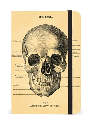 Cavallini Skull Small Notebook
