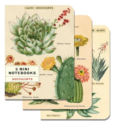 Cavallini Succulent and Cactus Mini Notebook Set of 3