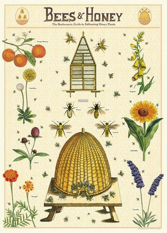 Cavallini Bees and Honey Wrap - Poster