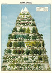 Cavallini Flora Chart Wrap - Poster
