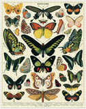 Cavallini Butterflies Puzzle